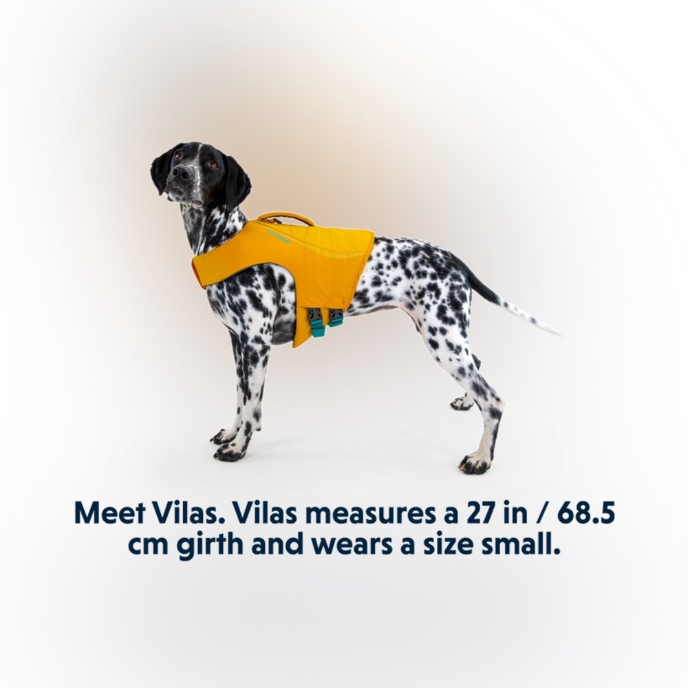 SMALL Ruffwear — Float Coat™ Dog Life Jacket - Picture 7 of 12